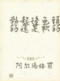 勃起后龟头是硬的还是软的?