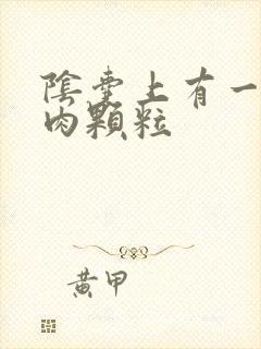 阴囊上有一个小肉颗粒