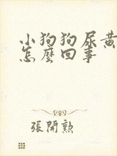 小狗狗尿黄尿是怎么回事