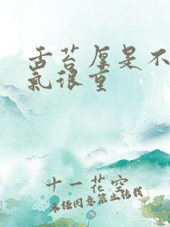 舌苔厚是不是湿气很重