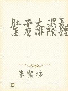 肚子大湿气太重怎么排除体内湿气