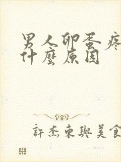 男人卵蛋疼痛是什么原因