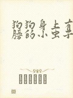 狗狗身上有带翅膀的小虫子