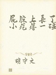 屁股上长了一个小疙瘩一碰就疼