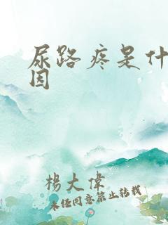 尿路疼是什么原因