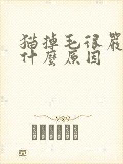 猫掉毛很严重是什么原因