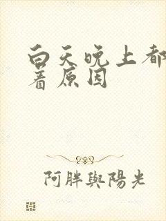 白天晚上都睡不着原因