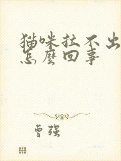 猫咪拉不出尿是怎么回事