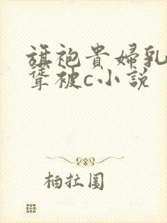 旗袍贵妇乳峰高耸被c小说