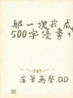 那一次我成功了500字优秀作文