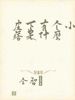 皮下有个小硬疙瘩是什么