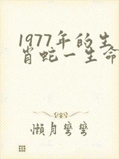 1977年的生肖蛇一生命运如何