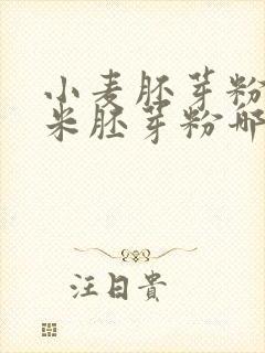 小麦胚芽粉与玉米胚芽粉哪个更好