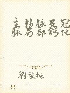 主动脉及冠状动脉局部钙化是什么意思