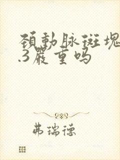 颈动脉斑块厚2.3严重吗