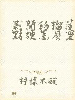 剥开的榴莲肉有点硬怎么变软