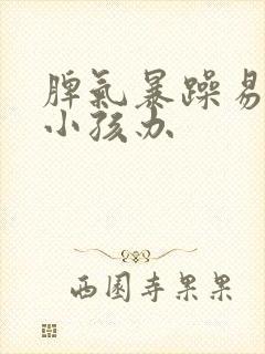 脾气暴躁易怒的小孩办