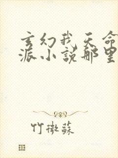 玄幻我天命大反派小说那里可以看