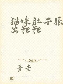 猫咪肚子胀拉不出粑粑