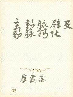 主动脉壁及冠状动脉钙化