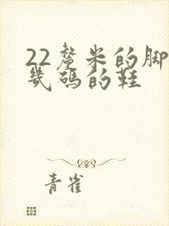 22厘米的脚穿几码的鞋