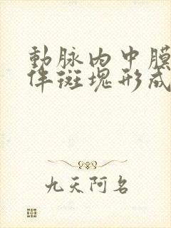 动脉内中膜增厚伴斑块形成