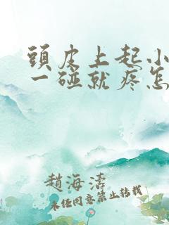 头皮上起小疙瘩一碰就疼怎么回事