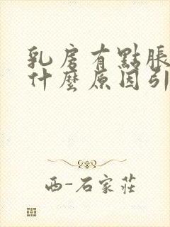 乳房有点胀痛是什么原因引起的