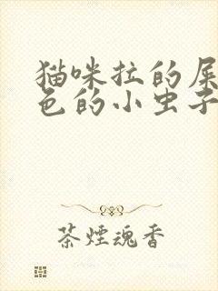 猫咪拉的屎有白色的小虫子