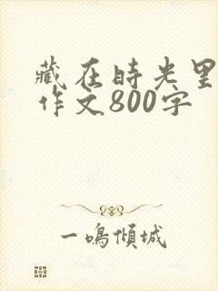 藏在时光里的爱作文800字