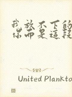 我放不下的不是你而是这段感情