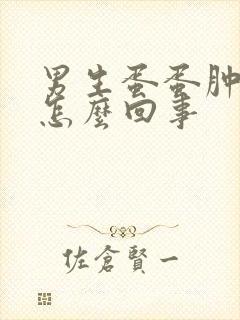 男生蛋蛋肿疼是怎么回事