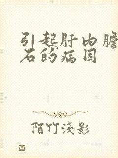 引起肝内胆管结石的病因