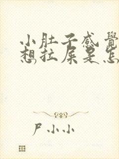 小肚子感觉下坠想拉屎是怎么回事啊