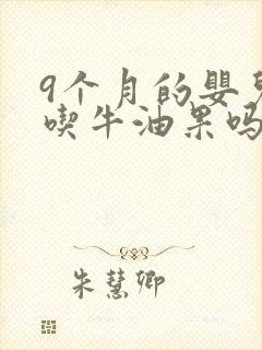 9个月的婴儿能吃牛油果吗