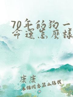 70年的狗一生命运怎么样
