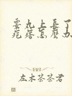 睾丸上长了个硬疙瘩怎么办