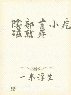 阴部有小疙瘩一碰就疼