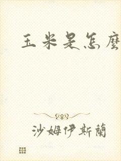 玉米是怎么来的