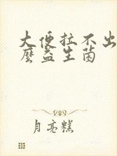 大便拉不出吃什么益生菌