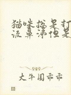 猫咪总是打喷嚏流鼻涕但是状态正常