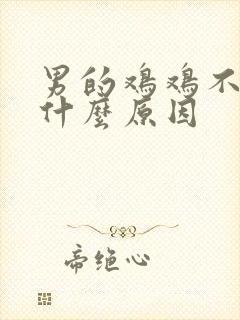 男的鸡鸡不硬是什么原因