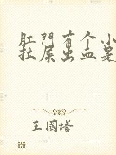 肛门有个小肉球拉屎出血是怎么回事