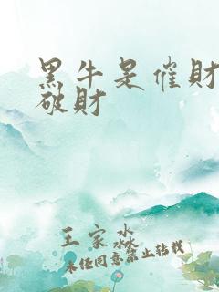 黑牛是催财还是破财