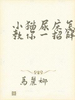 小猫尿床怎么办教你一招解决