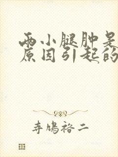 两小腿肿是什么原因引起的