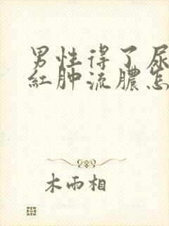 男性得了尿道口红肿流脓怎么治