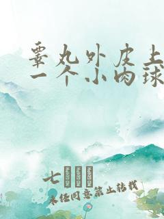 睾丸外皮上长了一个小肉球硬硬的