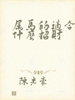 属马的适合佩戴什么招财