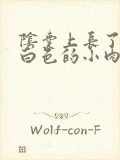 阴囊上长了一个白色的小肉粒